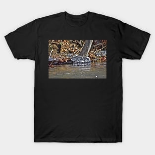 Ice Bells on a Tree T-Shirt